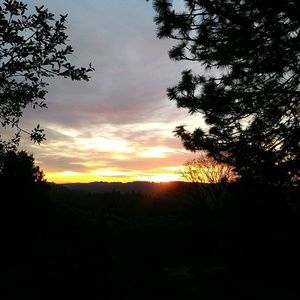 Meet your Posher, Karina